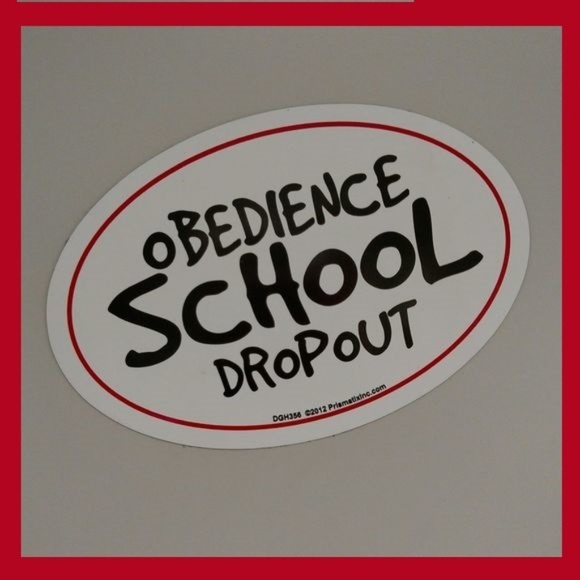 Meet your Posher, Christine! - Picture 1 of 1